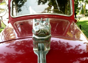 photo by Bob & Sandra Swanson