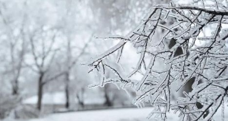 photo by Boyle County Fire Department