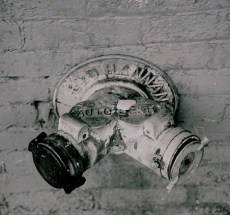 photo by Kittie A McMillan