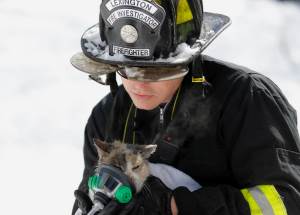 photo by Mark Cornelison