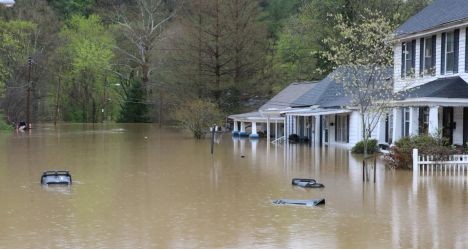 photo by Liam Niemeyer