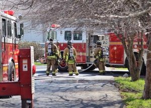 photo by Joe Williams