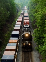 photo by Luke Sharrett