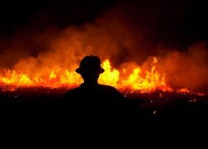 photo by Steve Bishop