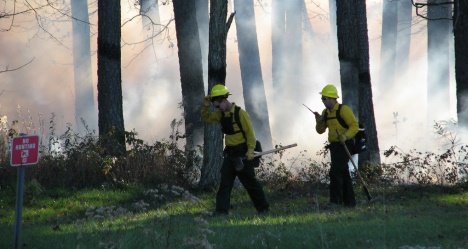 photo by Tripp Scott