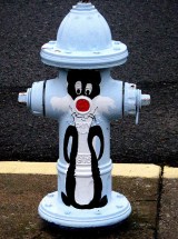 photo by Walt Bullard